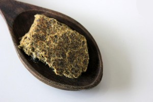 Cotton Seed DOC
