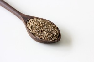 Coriander