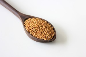 Coriander