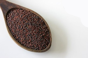 Rapeseed